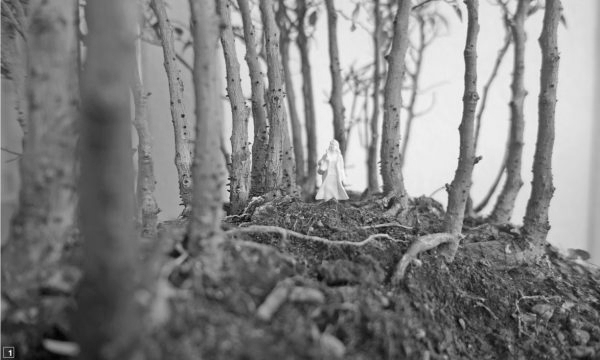 Dans la forêt (Image: «Bauten, Städte, Landschaften» («Bâtiments, villes, paysages»))