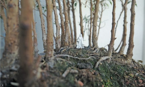 Dans la forêt (Image: «Bauten, Städte, Landschaften» («Bâtiments, villes, paysages»))