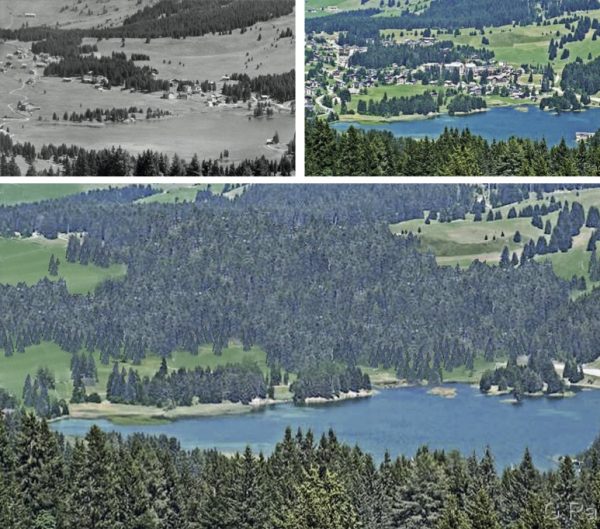 Valbella 1910 – 2010 – 2110 (Image: Image: «Bauten, Städte, Landschaften» («Bâtiments, villes, paysages»))