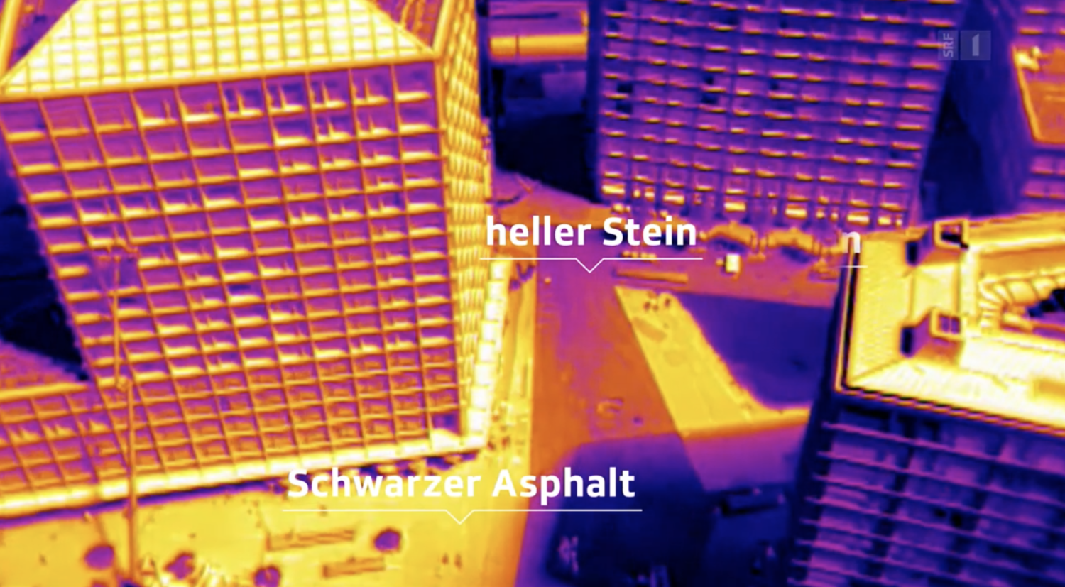  (Bild: SRF einstein)